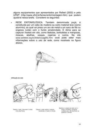 14
alguns equipamentos que apresentados por Rafael (2002) e pela
UFMT (http://www.ufmt.br/famev/ento/montagem.htm) que podem
ajudá-lo nessa tarefa. Considere os seguintes:
 REDE ENTOMOLÓGICA. Também denominada puçá, é
constituída por um cabo de madeira ou outro material leve (como
alumínio), ao qual vai preso um aro de metal e um saco de filó ou
organza (voile) com o fundo arredondado. É ótima para se
capturar insetos em vôo, como libélulas, borboletas e mariposas,
moscas, abelhas, vespas, cigarras e outros. No site
www.webbee.org.br/didatico/pg05c.htm você pode obter mais
informações sobre o uso da rede, como mostrado na figura
abaixo.
Utilização da rede
1 - Passar a rede "varrendo" a área
cima das flores
2 - Dobrar a rede sobre si mesma
mantendo o inseto no fundo
3 - Apanhar o inseto da rede com o
frasco mortífero, tomando
cuidade para não danificar ou
quebrar o animal
 