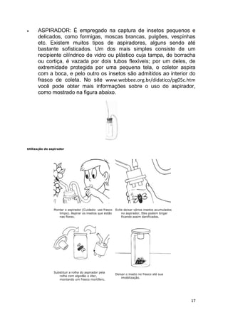 17
 ASPIRADOR: É empregado na captura de insetos pequenos e
delicados, como formigas, moscas brancas, pulgões, vespinhas
etc. Existem muitos tipos de aspiradores, alguns sendo até
bastante sofisticados. Um dos mais simples consiste de um
recipiente cilíndrico de vidro ou plástico cuja tampa, de borracha
ou cortiça, é vazada por dois tubos flexíveis; por um deles, de
extremidade protegida por uma pequena tela, o coletor aspira
com a boca, e pelo outro os insetos são admitidos ao interior do
frasco de coleta. No site www.webbee.org.br/didatico/pg05c.htm
você pode obter mais informações sobre o uso do aspirador,
como mostrado na figura abaixo.
Utilização do aspirador
1 - Montar o aspirador (Cuidado: use frasco
limpo). Aspirar os insetos que estão
nas flores.
2 - Evite deixar vários insetos acumulados
no aspirador. Eles podem brigar
ficando assim danificados.
2 - Substituir a rolha do aspirador pela
rolha com algodão e éter,
montando um frasco mortífero.
2 - Deixar o inseto no frasco até sua
imobilização.
 