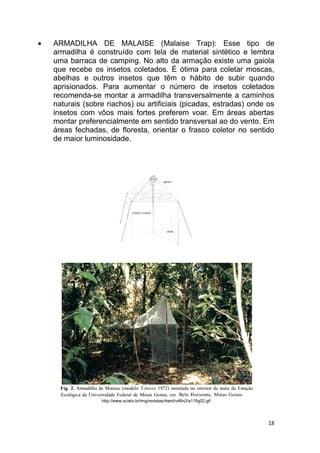 18
 ARMADILHA DE MALAISE (Malaise Trap): Esse tipo de
armadilha é construído com tela de material sintético e lembra
uma barraca de camping. No alto da armação existe uma gaiola
que recebe os insetos coletados. É ótima para coletar moscas,
abelhas e outros insetos que têm o hábito de subir quando
aprisionados. Para aumentar o número de insetos coletados
recomenda-se montar a armadilha transversalmente a caminhos
naturais (sobre riachos) ou artificiais (picadas, estradas) onde os
insetos com vôos mais fortes preferem voar. Em áreas abertas
montar preferencialmente em sentido transversal ao do vento. Em
áreas fechadas, de floresta, orientar o frasco coletor no sentido
de maior luminosidade.
http://www.scielo.br/img/revistas/rbent/v46n2/a11fig02.gif
 