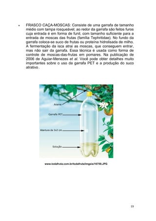 19
 FRASCO CAÇA-MOSCAS: Consiste de uma garrafa de tamanho
médio com tampa rosqueável; ao redor da garrafa são feitos furos
cuja entrada é em forma de funil, com tamanho suficiente para a
entrada de moscas das frutas (família Tephritidae). No fundo da
garrafa coloca-se suco de frutas ou proteína hidrolisada de milho.
A fermentação da isca atrai as moscas, que conseguem entrar,
mas não sair da garrafa. Essa técnica é usada como forma de
controle de moscas-das-frutas em pomares. Na publicação de
2006 de Aguiar-Menezes et al. Você pode obter detalhes muito
importantes sobre o uso da garrafa PET e a produção do suco
atrativo .
www.todafruta.com.br/todafruta/imgsis/16759.JPG
 