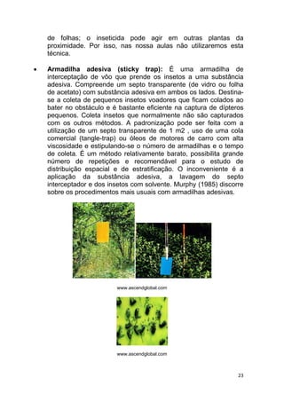 23
de folhas; o inseticida pode agir em outras plantas da
proximidade. Por isso, nas nossa aulas não utilizaremos esta
técnica.
 Armadilha adesiva (sticky trap): É uma armadilha de
interceptação de vôo que prende os insetos a uma substância
adesiva. Compreende um septo transparente (de vidro ou folha
de acetato) com substância adesiva em ambos os lados. Destina-
se a coleta de pequenos insetos voadores que ficam colados ao
bater no obstáculo e é bastante eficiente na captura de dípteros
pequenos. Coleta insetos que normalmente não são capturados
com os outros métodos. A padronização pode ser feita com a
utilização de um septo transparente de 1 m2 , uso de uma cola
comercial (tangle-trap) ou óleos de motores de carro com alta
viscosidade e estipulando-se o número de armadilhas e o tempo
de coleta. É um método relativamente barato, possibilita grande
número de repetições e recomendável para o estudo de
distribuição espacial e de estratificação. O inconveniente é a
aplicação da substância adesiva, a lavagem do septo
interceptador e dos insetos com solvente. Murphy (1985) discorre
sobre os procedimentos mais usuais com armadilhas adesivas.
www.ascendglobal.com
www.ascendglobal.com
 