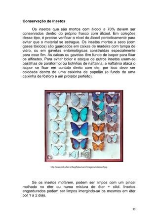 33
Conservação de Insetos
Os insetos que são mortos com álcool a 70% devem ser
conservados dentro do próprio frasco com álcool. Em coleções
desse tipo, é preciso verificar o nível do álcool periodicamente para
evitar que o material se estrague. Os insetos mortos a seco (com
gases tóxicos) são guardados em caixas de madeira com tampa de
vidro, ou em gavetas entomológicas construídas especialmente
para esse fim. As caixas ou gavetas têm fundo de isopor para fixar
os alfinetes. Para evitar bolor e ataque de outros insetos usam-se
pastilhas de paraformol ou bolinhas de naftalina; a naftalina ataca o
isopor se ficar em contato direto com ele; por isso deve ser
colocada dentro de uma caixinha de papelão (o fundo de uma
caixinha de fósforo é um protetor perfeito).
http://www.ccb.ufsc.br/beg/fplaumann/imagens/colecao1.jpg
Se os insetos mofarem, podem ser limpos com um pincel
molhado no éter ou numa mistura de éter + xilol. Insetos
engordurados podem ser limpos imergindo-se os mesmos em éter
por 1 a 2 dias.
 