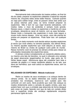 37
CÂMARA ÚMIDA
Normalmente todo colecionador de insetos prefere, ao final do
dia de coleta, preparar os espécimes coletados e esticá-los naquele
mesmo dia, enquanto estes ainda estão frescos. Contudo quando
se viaja para coletar longe, onde se passam vários dias antes que
se possa retornar para casa, se torna inviável preparar os
espécimes. Não é bom ter que viajar levando esticadores, com
insetos neles, o risco de acidentes é sempre muito grande.
Nesses casos, o ideal é coletar os espécimes e mantê-los em seus
envelopes, deixando-os secar ali mesmo, com as asas fechadas.
Desse modo o transporte dos espécimes é muito mais seguro e
ocupa muito menos espaço. Uma vez secos, voce não precisa ter
pressa em preparar os espécimes. Pode fazer isso em qualquer
tempo.
Em um dado momento você decide esticar aqueles espécimes
já secos que você coletou na semana passada, nas últimas férias,
ou mesmo aqueles espécimes que você adquiriu já secos, aqui,
mesmo do Brasil ou vindos de qualquer outra parte do mundo.
Nesse momento você irá precisar da câmara úmida para relaxar as
articulações ressecadas dos espécimes secos.
A câmara úmida é simplesmente um recipiente plástico plano,
ou mesmo uma lata de biscoitos, na qual é colocada uma camada
de papel absorvente (papel-toalha) no fundo, algo perto de 10
folhas desse papel. Adiciona-se água até umedecer bem toda a
camada de papéis e é nesse recipiente plástico ou de lata, que
deve ser hermético, que você coloca os espécimes secos, sem os
envelopes.
RELAXANDO OS ESPÉCIMES - Método tradicional
Retire os insetos de seus envelopes e os coloque dentro da
câmara úmida. Se os dados referentes aos insetos estiverem
anotados nos envelopes, reserve-os com cuidado para não
confundir um com outro. Será prudente que você não coloque os
insetos diretamente sobre a camada de papéis úmidos, pois isso
poderá fazer com que a umidade seja absorvida de forma desigual
pelo corpo do inseto, fazendo com que do lado em contato direto
com a superfície úmida ele amoleça rapidamente enquanto
permanece rígido do outro.
 