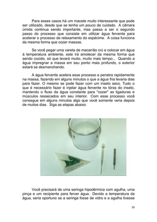 39
Para esses casos há um macete muito interessante que pode
ser utilizado, desde que se tenha um pouco de cuidado. A câmara
úmida continua sendo importante, mas passa a ser o segundo
passo do processo que consiste em utilizar água fervente para
acelerar o processo de relaxamento do espécime. A coisa funciona
da mesma forma que cozer massas.
Se você pegar uma vareta de macarrão crú e colocar em água
à temperatura ambiente, este irá amolecer da mesma forma que
sendo cozido, só que levará muito, muito mais tempo... Quando a
água impregnar a massa em seu ponto mais profundo, o exterior
estará se desmanchando.
A água fervente acelera esse processo e penetra rapidamente
na massa, fazendo em alguns minutos o que a água fria levaria dias
para fazer. O mesmo se pode fazer com um inseto seco. Tudo o
que é necessário fazer é injetar água fervente no tórax do inseto,
mantendo o fluxo da água constante para "cozer" as ligaduras e
músculos ressecados em seu interior. Com esse processo você
consegue em alguns minutos algo que você somente veria depois
de muitos dias. Siga as etapas abaixo:
Você precisará de uma seringa hipodérmica com agulha, uma
pinça e um recipiente para ferver água. Devido a temperatura da
água, seria oportuno se a seringa fosse de vidro e a agulha tivesse
 