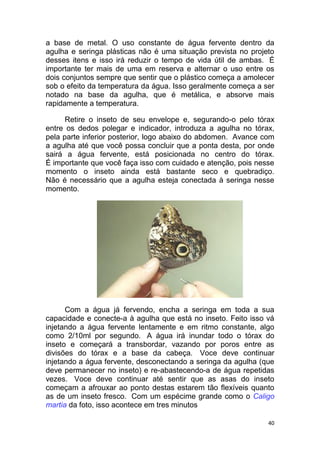 40
a base de metal. O uso constante de água fervente dentro da
agulha e seringa plásticas não é uma situação prevista no projeto
desses itens e isso irá reduzir o tempo de vida útil de ambas. É
importante ter mais de uma em reserva e alternar o uso entre os
dois conjuntos sempre que sentir que o plástico começa a amolecer
sob o efeito da temperatura da água. Isso geralmente começa a ser
notado na base da agulha, que é metálica, e absorve mais
rapidamente a temperatura.
Retire o inseto de seu envelope e, segurando-o pelo tórax
entre os dedos polegar e indicador, introduza a agulha no tórax,
pela parte inferior posterior, logo abaixo do abdomen. Avance com
a agulha até que você possa concluir que a ponta desta, por onde
sairá a água fervente, está posicionada no centro do tórax.
É importante que você faça isso com cuidado e atenção, pois nesse
momento o inseto ainda está bastante seco e quebradiço.
Não é necessário que a agulha esteja conectada à seringa nesse
momento.
Com a água já fervendo, encha a seringa em toda a sua
capacidade e conecte-a à agulha que está no inseto. Feito isso vá
injetando a água fervente lentamente e em ritmo constante, algo
como 2/10ml por segundo. A água irá inundar todo o tórax do
inseto e começará a transbordar, vazando por poros entre as
divisões do tórax e a base da cabeça. Voce deve continuar
injetando a água fervente, desconectando a seringa da agulha (que
deve permanecer no inseto) e re-abastecendo-a de água repetidas
vezes. Voce deve continuar até sentir que as asas do inseto
começam a afrouxar ao ponto destas estarem tão flexíveis quanto
as de um inseto fresco. Com um espécime grande como o Caligo
martia da foto, isso acontece em tres minutos
 