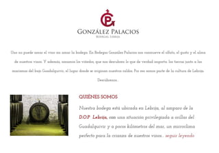 Bodegas González Palacios. Elaborando vinos de calidad desde 1960