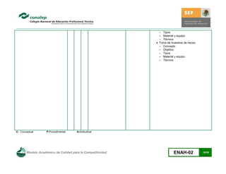 Modelo Académico de Calidad para la Competitividad en Enfermería ...