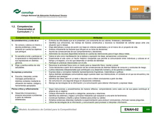 Modelo Académico de Calidad para la Competitividad en Enfermería ...