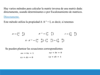 Presentación matrices y sistemas de ecuaciones | PDF