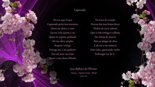 Eis-me aqui Graça
Capturado pelos teus encantos
Deixa-me deitar o rosto
Em teu colo quente e nu
Quero te respirar profundo
Até tua alma simples
Respirar comigo
Entrega-me o teu perfume
Sem ter juízo ou razão
Quero o teu cheiro filtrado
Da seiva do coração
Preciso dos teus beijos doces
Vinhos de raros sabores
Que a vida entrega à colheita
Em rituais de amores
Abre as adegas da alma
E dá-me a tua essência
Esta noite, apaixonado venho
Embriagar-me de tí .
Capturado
 