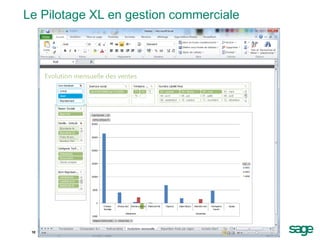 Le Pilotage XL en gestion commerciale




 10
 