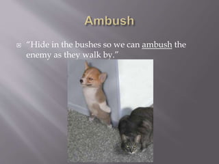  “Hide in the bushes so we can ambush the
enemy as they walk by.”
 