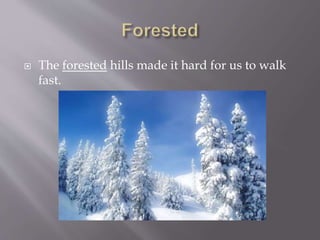  The forested hills made it hard for us to walk
fast.
 