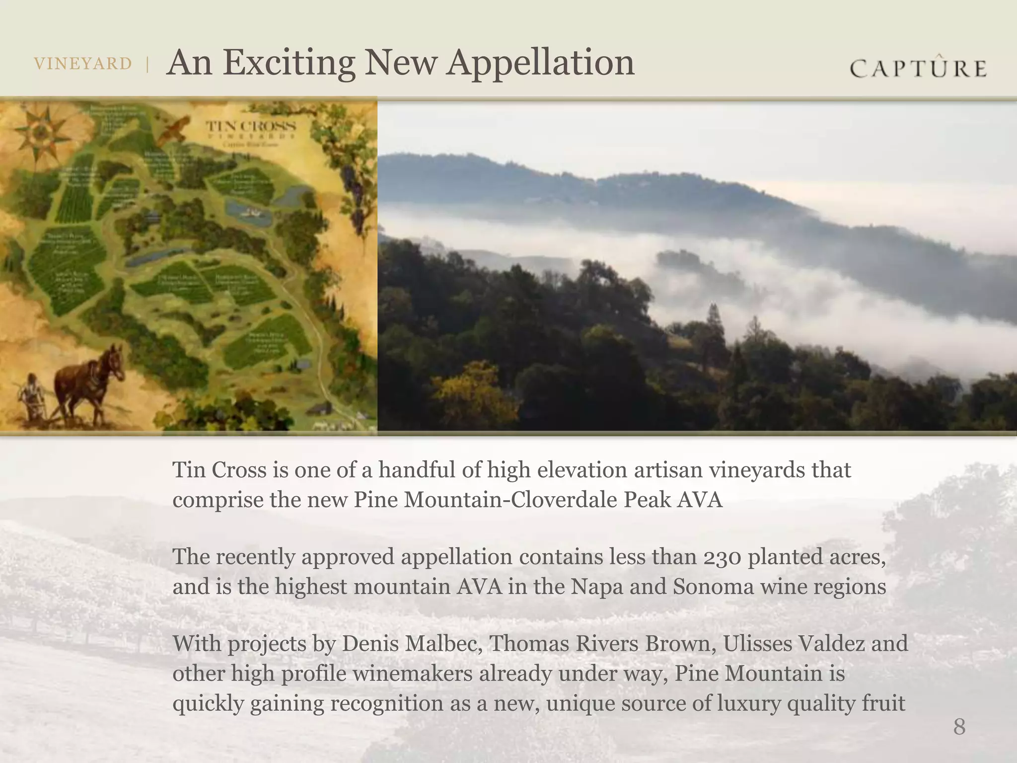 Tin Cross is one of a handful of high elevation artisan vineyards that
comprise the new Pine Mountain-Cloverdale Peak AVA

The recently approved appellation contains less than 230 planted acres,
and is the highest mountain AVA in the Napa and Sonoma wine regions

With projects by Denis Malbec, Thomas Rivers Brown, Ulisses Valdez and
other high profile winemakers already under way, Pine Mountain is
quickly gaining recognition as a new, unique source of luxury quality fruit
                                                                              8
 