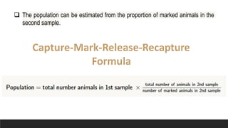 Capture Mark Release Recapture Technique.pptx | Pets