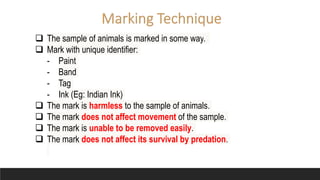 Capture Mark Release Recapture Technique.pptx | Pets