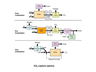 CO2 capture options 
 