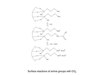 Surface reactions of amine groups with CO2 
 
