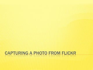 CAPTURING A PHOTO FROM FLICKR
 