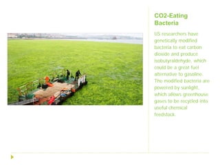 CO2-Eating
Bacteria
US researchers have
genetically modified
bacteria to eat carbon
dioxide and produce
isobutyraldehyde, which
could be a great fuel
alternative to gasoline.
The modified bacteria are
powered by sunlight,
which allows greenhouse
gases to be recycled into
useful chemical
feedstock.
 