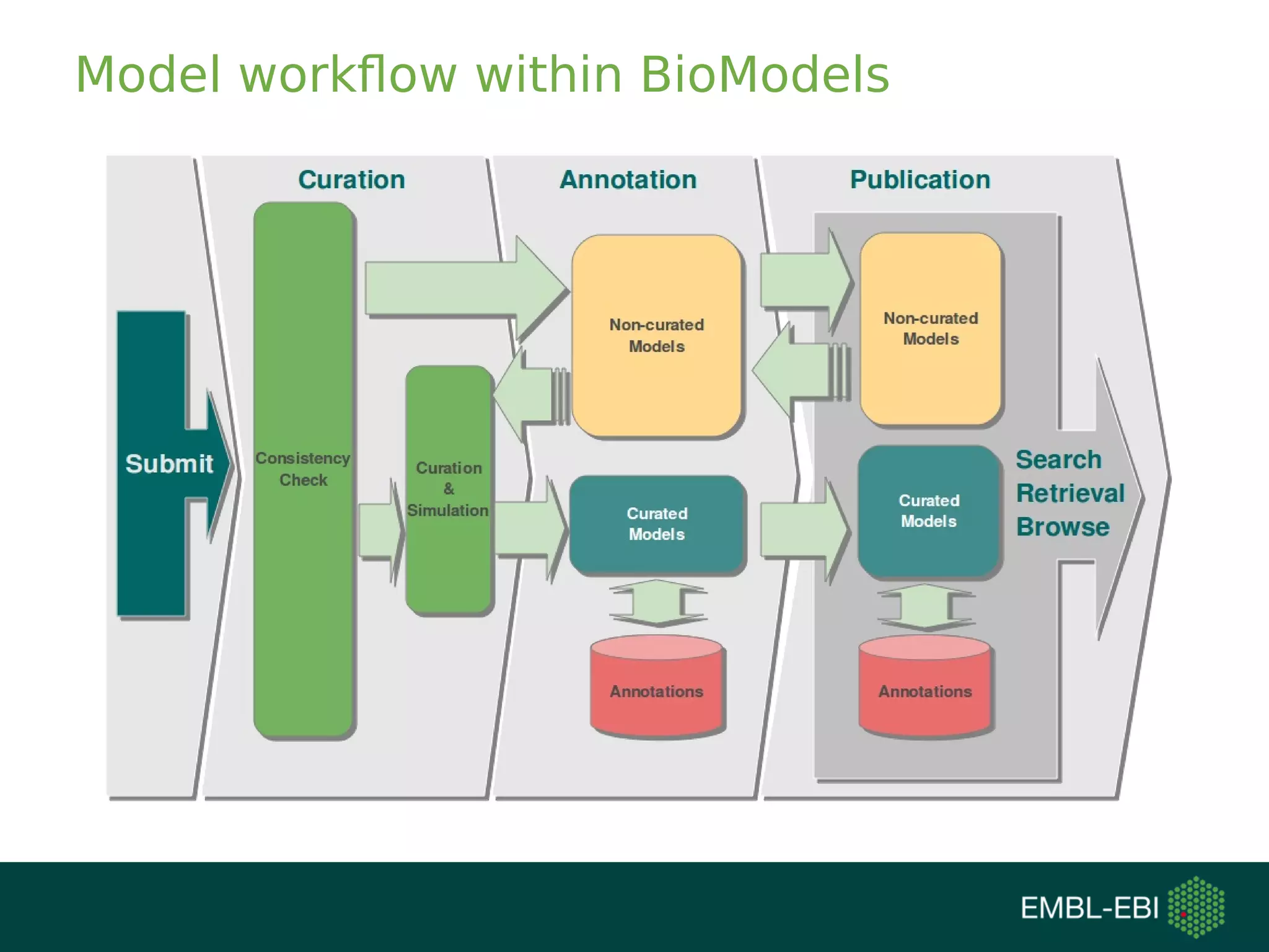 Model workflow within BioModels
 