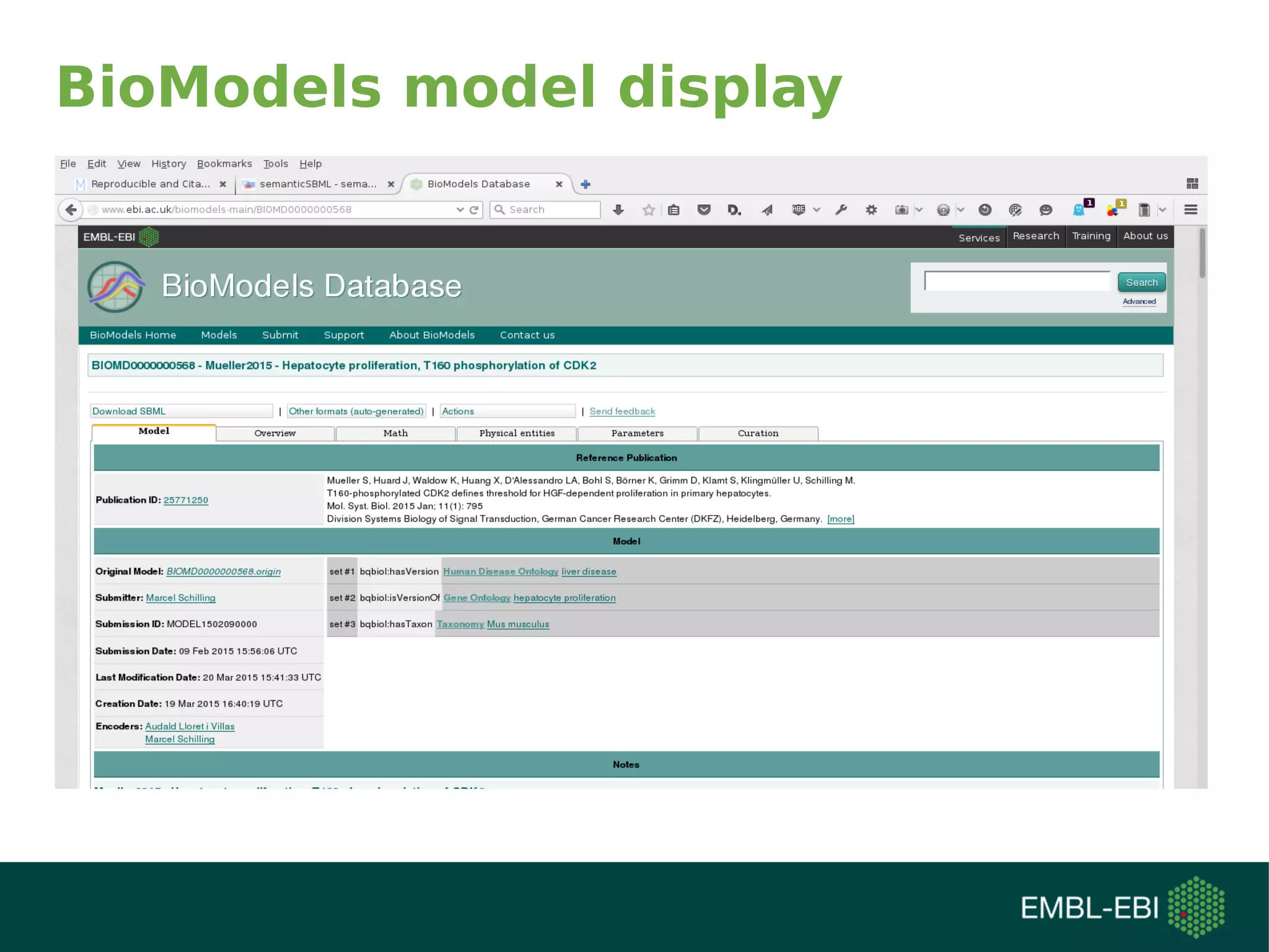 BioModels model display
 