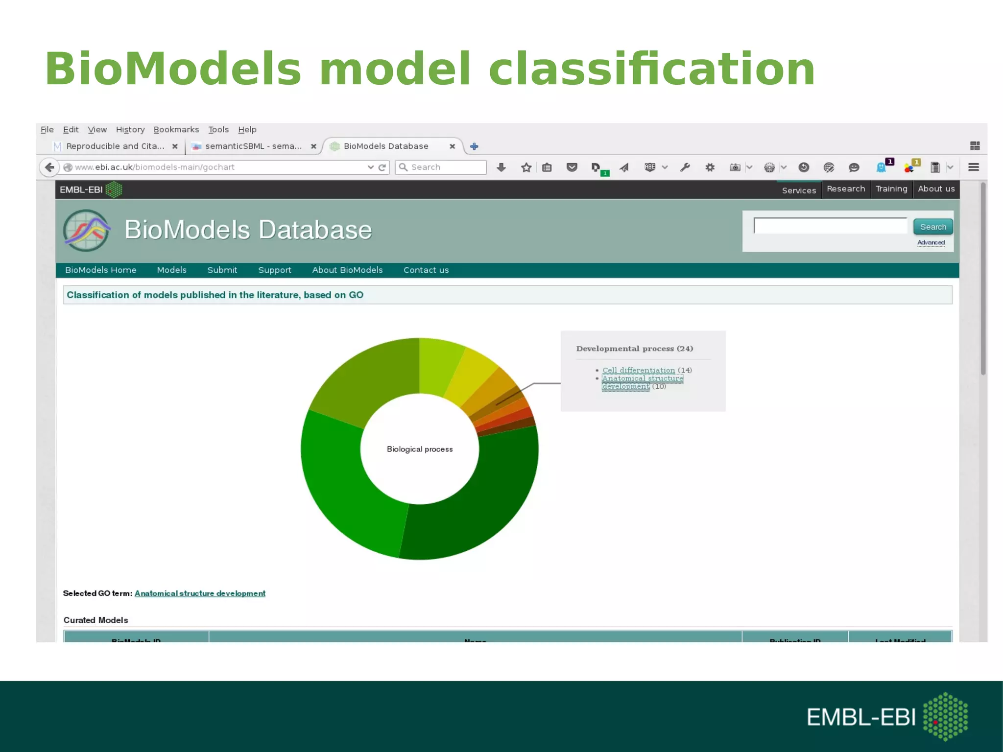 BioModels model classification
 