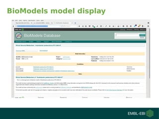 BioModels model display
 