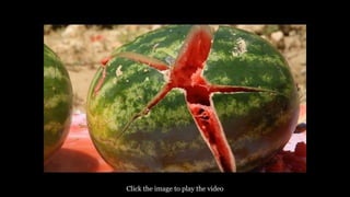 Click the image to play the video
 