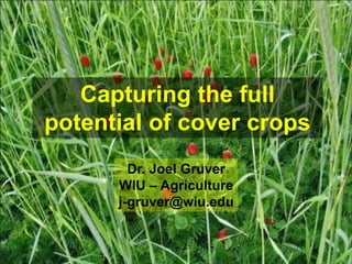 Capturing the full
potential of cover crops
        Dr. Joel Gruver
      WIU – Agriculture
      j-gruver@wiu.edu
 