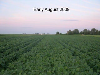 Early August 2009
 