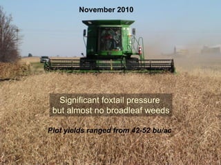 November 2010




   Significant foxtail pressure
 but almost no broadleaf weeds

Plot yields ranged from 42-52 bu/ac
 