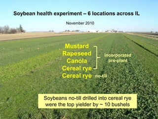 Soybean health experiment – 6 locations across IL
                     November 2010




                    Mustard
                   Rapeseed               incorporated
                    Canola                  pre-plant
                   Cereal rye
                   Cereal rye        no-till




           Soybeans no-till drilled into cereal rye
           were the top yielder by ~ 10 bushels
 