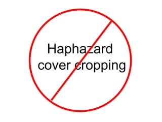 Haphazard
cover cropping
 
