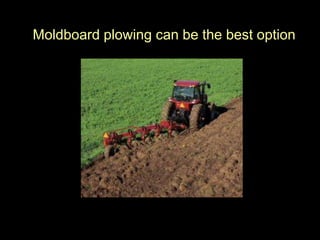 Moldboard plowing can be the best option
 