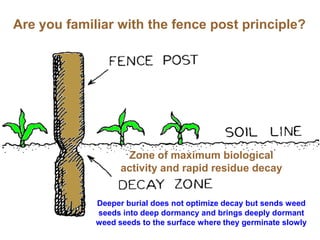 Are you familiar with the fence post principle?




                    Zone of maximum biological
                   activity and rapid residue decay


             Deeper burial does not optimize decay but sends weed
             seeds into deep dormancy and brings deeply dormant
             weed seeds to the surface where they germinate slowly
 