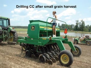 Drilling CC after small grain harvest
 