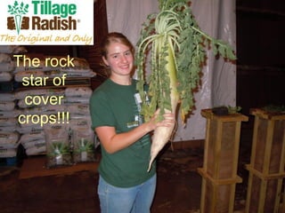 The rock
 star of
 cover
crops!!!
 