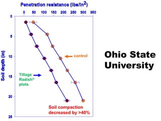 control   Ohio State
                              University
Tillage
Radish®
plots




          Soil compaction
          decreased by >40%
 