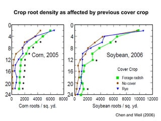 Crop root density as affected by previous cover crop




                                       Chen and Weil (2006)
 