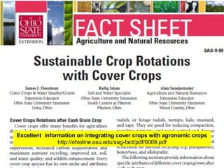 Excellent information on integrating cover crops with agronomic crops
               http://ohioline.osu.edu/sag-fact/pdf/0009.pdf
 