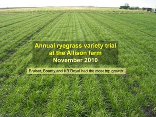 Annual ryegrass variety trial
       at the Allison farm
        November 2010
Bruiser, Bounty and KB Royal had the most top growth
 