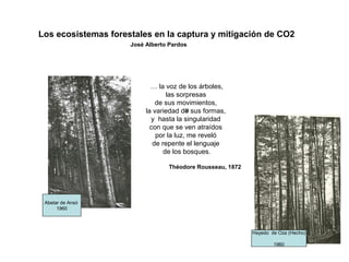 Hayedo de Oza (Hecho)
1960
… la voz de los árboles,
las sorpresas
de sus movimientos,
la variedad de sus formas,
y hasta la singularidad
con que se ven atraídos
por la luz, me reveló
de repente el lenguaje
de los bosques.
Théodore Rousseau, 1872
Abetar de Ansó
1960
Los ecosistemas forestales en la captura y mitigación de CO2
José Alberto Pardos
 