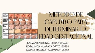 GALVAN CARDENAS ERIKA 1965246
ROSALINDA HUARACA ORTIZ 195251
NATALY MALLMA PALOMINO 195252
 