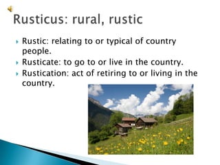 Rustic: relating to or typical of country people.Rusticate: to go to or live in the country.Rustication: act of retiring to or living in the country.Rusticus: rural, rustic