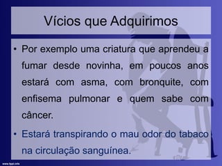 Vícios que Adquirimos
• Por exemplo uma criatura que aprendeu a
fumar desde novinha, em poucos anos
estará com asma, com bronquite, com
enfisema pulmonar e quem sabe com
câncer.
• Estará transpirando o mau odor do tabaco
na circulação sanguínea.
 