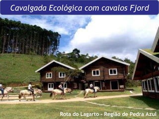 Rota do Lagarto - Região de Pedra Azul  Cavalgada Ecológica com cavalos Fjord 
