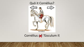 Quō it Cornēlius?
Cornēlius ad Tūsculum it
 
