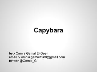 Capybara


by:- Omnia Gamal El-Deen
email :- omnia.gamal1988@gmail.com
twitter @Omnia_G
 