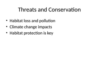Threats and Conservation
• Habitat loss and pollution
• Climate change impacts
• Habitat protection is key
 